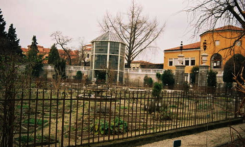 Botanical Garden (Orto Botanico), Padua