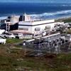 Koeberg Nuclear Power Station and Nature Reserve
